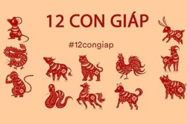 Tử vi tuần từ 14 đến 20/9/2020 cho 12 con giáp: Mão, Thìn, Dậu vào bảng vàng