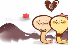 Dự đoán tử vi tuổi Tỵ năm Canh Tý 2020: Công việc khởi sắc rực rỡ