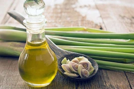 Loạt lầm tưởng khi dùng tinh dầu đuổi muỗi, nhớ kỹ để tránh