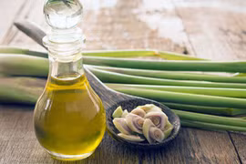 Loạt lầm tưởng khi dùng tinh dầu đuổi muỗi, nhớ kỹ để tránh