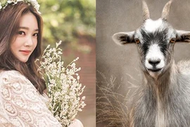 4 con giáp vượng phát, có quý nhân giúp đỡ nửa đầu năm 2021