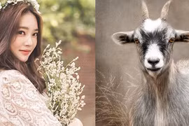 4 con giáp vượng phát, có quý nhân giúp đỡ nửa đầu năm 2021