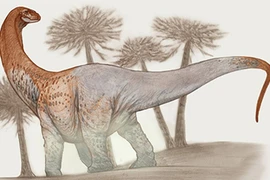 Kinh ngạc loài khủng long khổng lồ nặng gấp 5 lần T-Rex