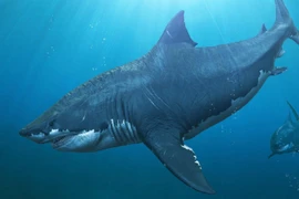 Những quái vật ăn thịt kinh hãi nhất thời tiền sử