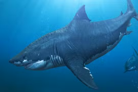 Những quái vật ăn thịt kinh hãi nhất thời tiền sử