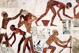 Kinh ngạc kỹ thuật chế tác đá tài ba của người Ai Cập cổ 