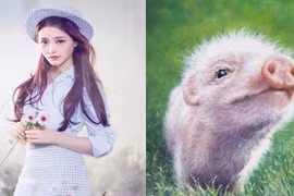 Sang tháng 3 âm: 3 con giáp lưng tựa "núi vàng", tình tiền viên mãn 