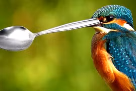 Hé lộ bất ngờ về thế giới tự nhiên, ai nghe cũng ngỡ ngàng 