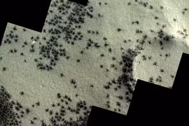 Giật mình những thứ dị hình thình lình xuất hiện trên sao Hỏa 