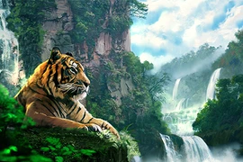 Sau 20/10: 3 tuổi đáo hạn nghèo khổ, làm hùng hục như Trâu vẫn nghèo 