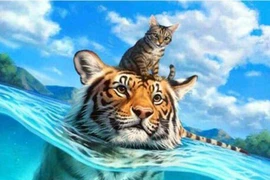 Tháng 7, 4 con giáp cẩn thận tiểu nhân đâm sau lưng, chống đỡ không kịp