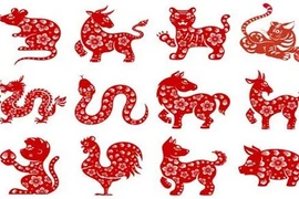 Dự đoán tử vi 12 con giáp năm 2020: Dần Tỵ tài lộc quanh nhà, đụng đâu dính tiền đến đấy 