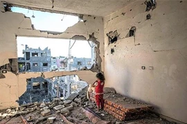 Top hình ảnh gây ấn tượng mạnh nhất năm 2021 khiến người xem kinh ngạc