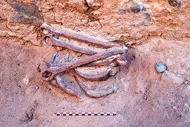 Sự thật tàn bạo sau dấu vết xiềng xích tại mỏ vàng Ai Cập