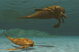 Kinh ngạc bọ cạp thuỷ quái “hiện nguyên hình” sau hơn 300 triệu năm