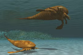 Kinh ngạc bọ cạp thuỷ quái “hiện nguyên hình” sau hơn 300 triệu năm