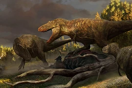 Hóa thạch 76,5 triệu năm tiết lộ tổ tiên "máu mặt" của T-rex 