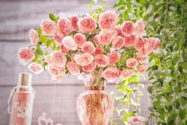 3 tháng sinh giúp chủ nhân no đủ, giàu sang cuối 2021 và 2022 