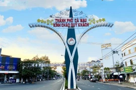 Cà Mau: Cty Trương Mỹ Kim trúng gói thầu trang trí đèn hơn 1,8 tỷ 