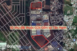 Lãnh đạo Đồng Nai yêu cầu rút ngắn thời gian các công đoạn trong đấu giá đất