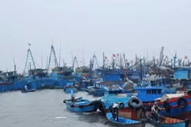 Việt - Trung đàm phán về vùng biển ngoài cửa Vịnh Bắc Bộ