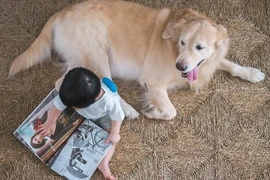 Bộ ảnh "em bé thiên thần" đáng yêu bên cạnh cún cưng