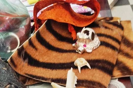 Kinh hoàng sọ thú quý hiếm được chào bán nhan nhản