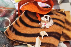 Kinh hoàng sọ thú quý hiếm được chào bán nhan nhản