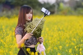 Cánh đồng hoa cải vàng rực bên sông Hồng hút giới trẻ