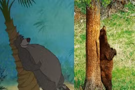 Ngộ nghĩnh nhân vật hoạt hình Disney ngoài đời thực