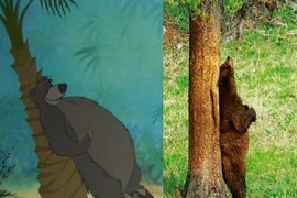 Ngộ nghĩnh nhân vật hoạt hình Disney ngoài đời thực