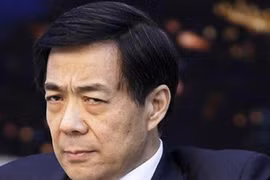 Bạc Hy Lai sẽ bị kết tội gì? 