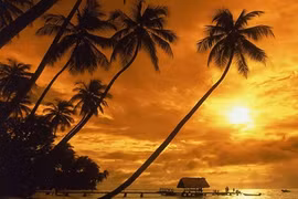 Chiêm ngưỡng hoàng hôn trên toàn thế giới