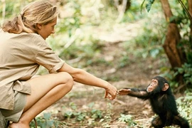 10 bức ảnh đẹp nhất trong lịch sử National Geographic 