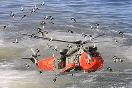 Sự kiện đáng nhớ trong tuần qua hình ảnh 