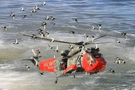 Sự kiện đáng nhớ trong tuần qua hình ảnh 