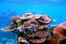 Chiêm ngưỡng 7 kỳ quan thiên nhiên thế giới 