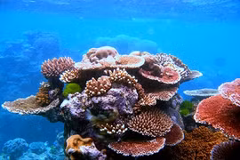 Chiêm ngưỡng 7 kỳ quan thiên nhiên thế giới 