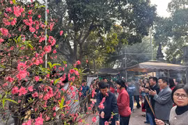 Đền Chợ Củi thờ Quan Hoàng Mười ở Hà Tĩnh, chốn linh thiêng tìm về 