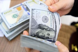 Áp lực tỷ giá được dự báo vẫn hiện hữu nhưng chưa phải mối nguy lớn