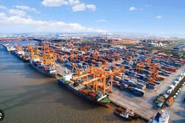 Vinalines lãi đột biến quý 4 nhờ hàng ngàn tỷ gửi ngân hàng và được xóa nợ