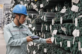 Vì sao công ty chứng khoán giảm giá mục tiêu của HPG?