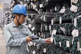 Vì sao công ty chứng khoán giảm giá mục tiêu của HPG?