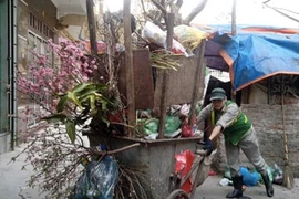 Chưa hết Tết, đào đã “khoe sắc” ngoài bãi rác