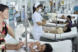 Chưa có thuốc đặc trị bệnh sốt xuất huyết