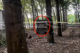 Điều tra vụ nữ chủ quán karaoke tử vong trong nhà vệ sinh bỏ hoang 