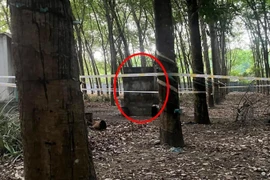 Điều tra vụ nữ chủ quán karaoke tử vong trong nhà vệ sinh bỏ hoang 