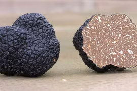 Loại nấm được mệnh danh "kim cương đen" các đầu bếp trên thế giới săn lùng