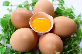 Ăn trứng gà sống có tác dụng gì?