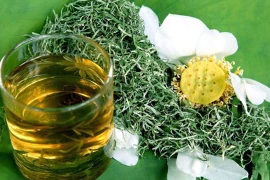 5 nhóm người không nên uống nước lá sen